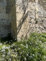 IMG 7101