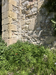 IMG 7100