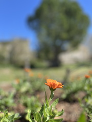 IMG 7098