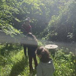 Romanité sensible_2026