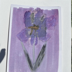 Festival du Dessin (OFF)