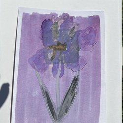 Festival du Dessin (OFF)