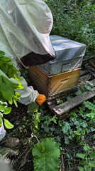 WhatsApp Image 2026-05-07 at 13.30.47