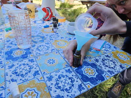 IMG-20260510-WA0005