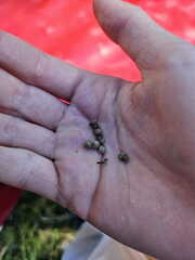 IMG-20260510-WA0001