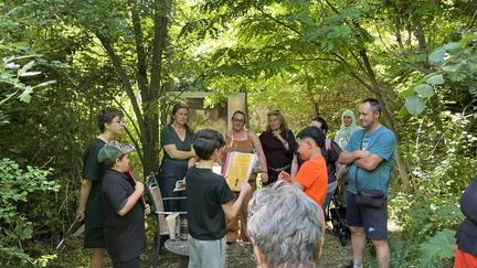 IMG 7388
