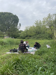 IMG 1342