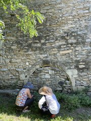 IMG 2321