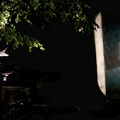  DSC8374